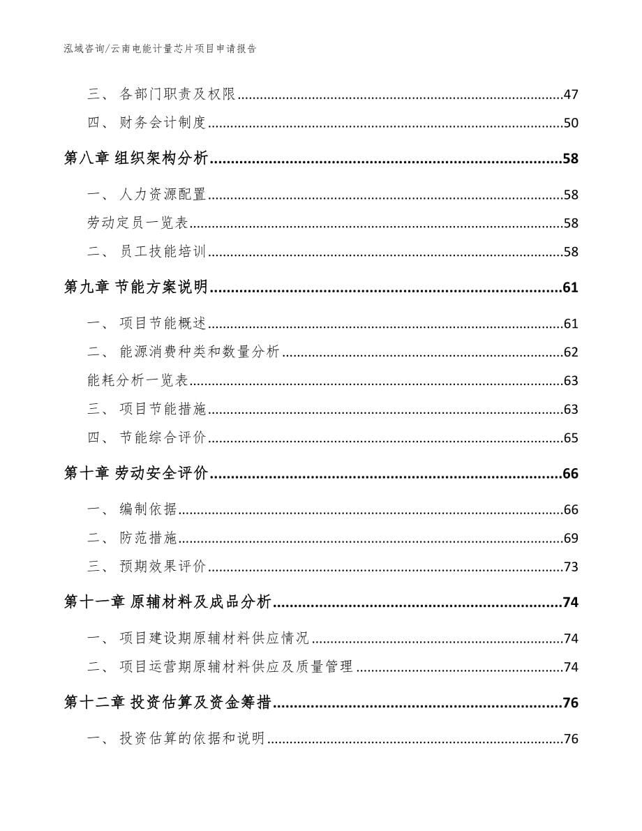 云南电能计量芯片项目申请报告_模板范本_第5页