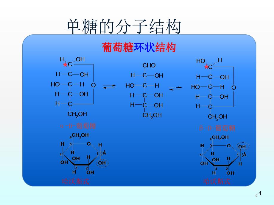 生活能量化学与健康ppt课件_第4页