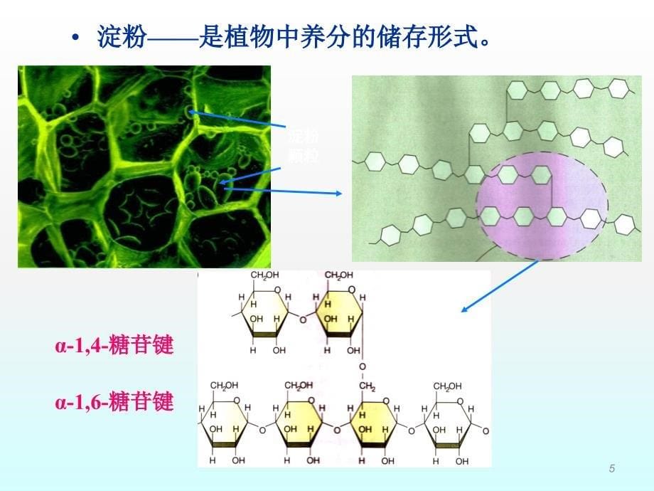 生活能量化学与健康ppt课件_第5页