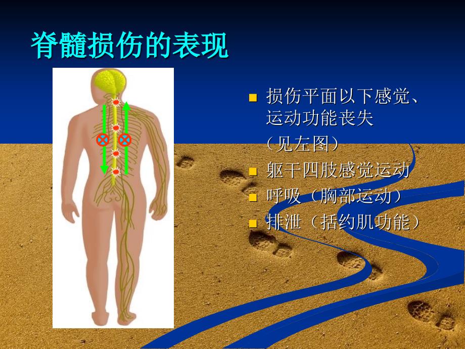 脊柱脊髓损伤的临床康复课件_第3页