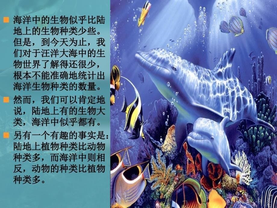 神奇的海底世界_第5页