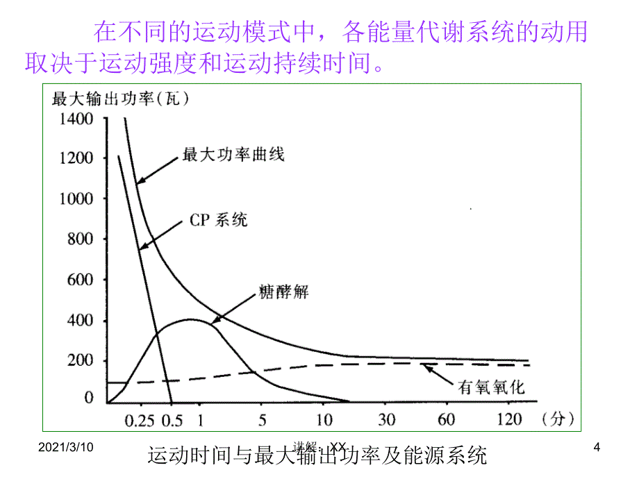 nmg运动的能量代谢_第4页