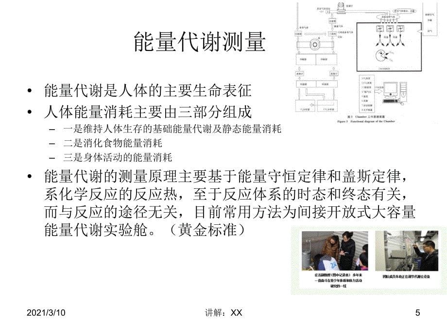 nmg运动的能量代谢_第5页