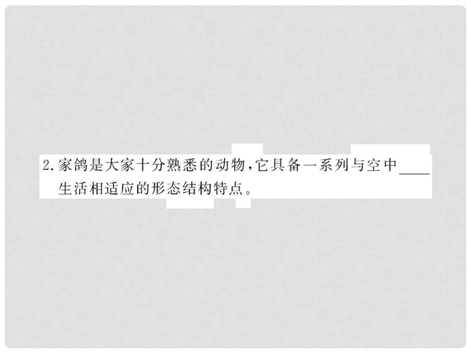 八年级生物上册 第五单元 第一章 第三节 空中飞行的动物课件 新人教版_第3页