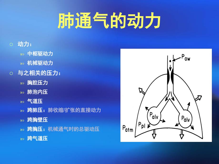 呼吸力学导向的通气设置_第3页