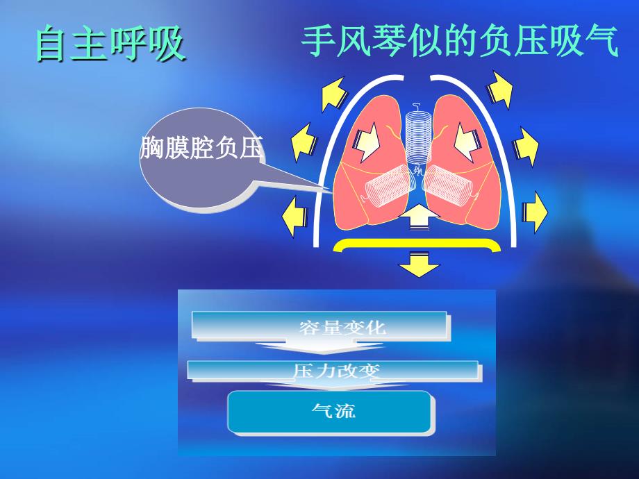 呼吸力学导向的通气设置_第4页