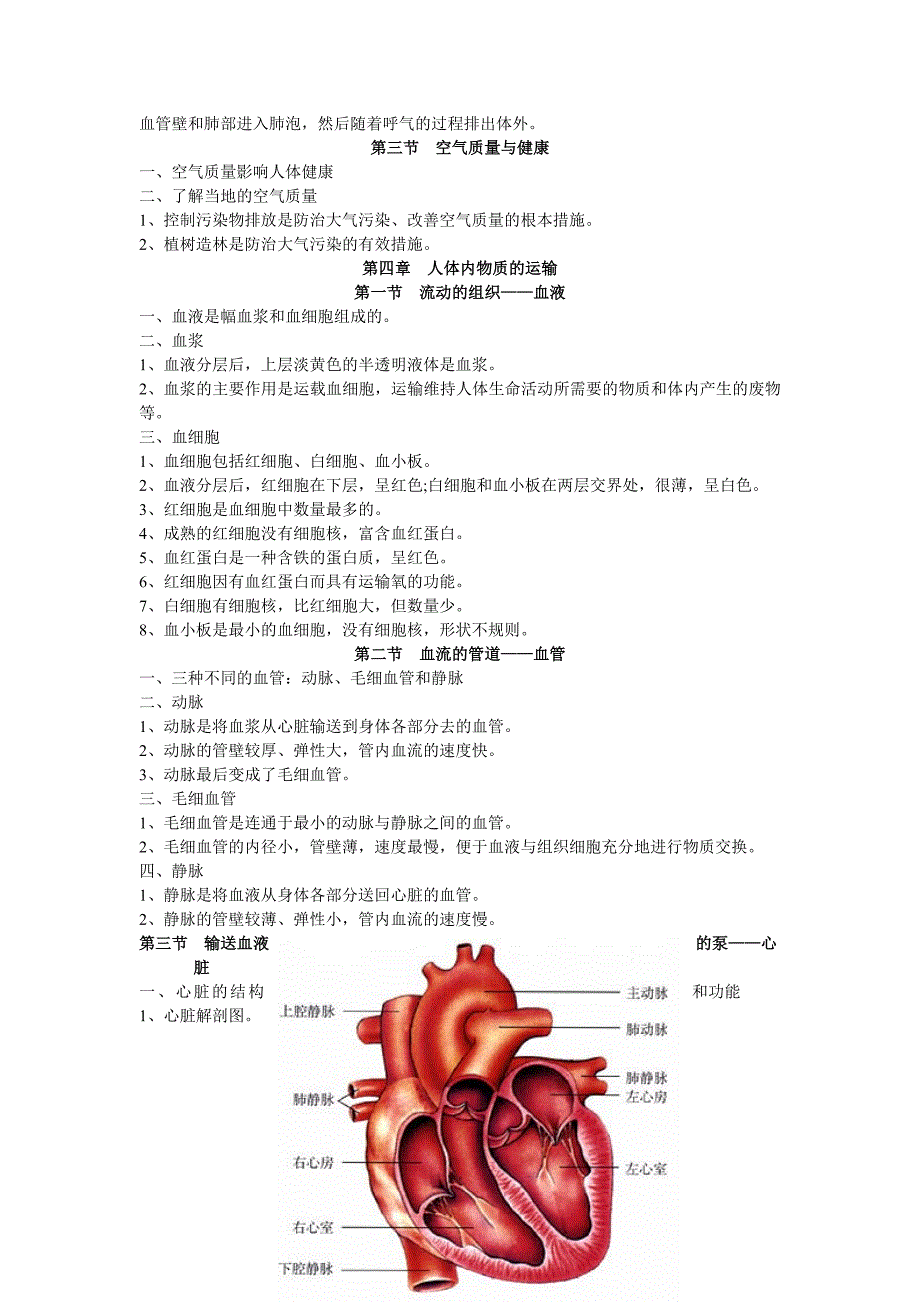 七年级下册生物复习提纲.doc_第3页