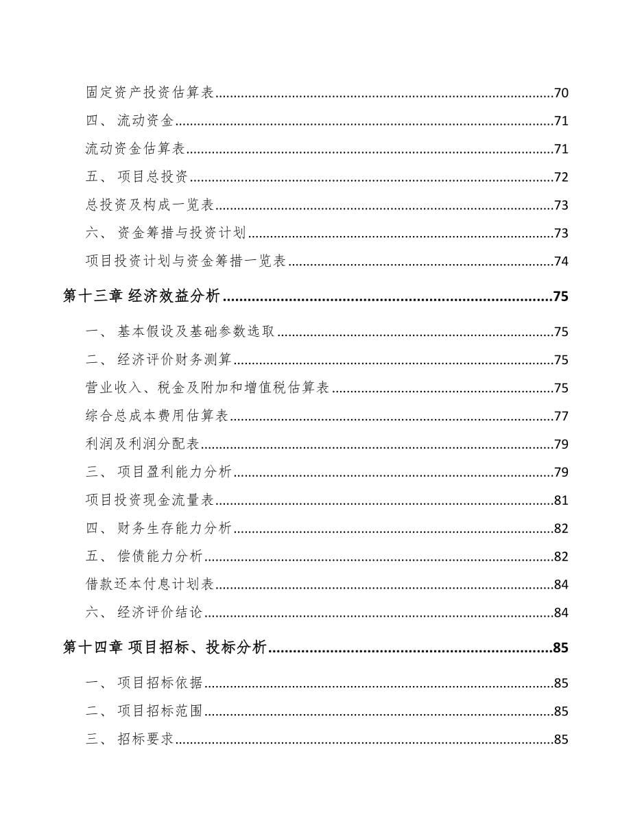 贵州纳米氧化锌项目可行性研究报告范文模板_第5页