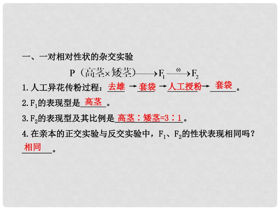 高中生物 1.1孟德尔的豌豆杂交实验（一）配套课件 新人教版必修2_第3页