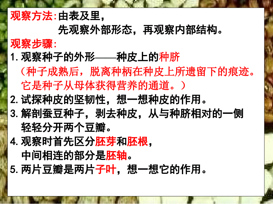 八年级生物植物的生长发育2_第3页