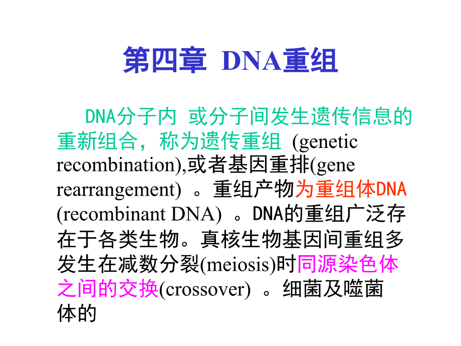 教学课件第四章DNA重组_第1页