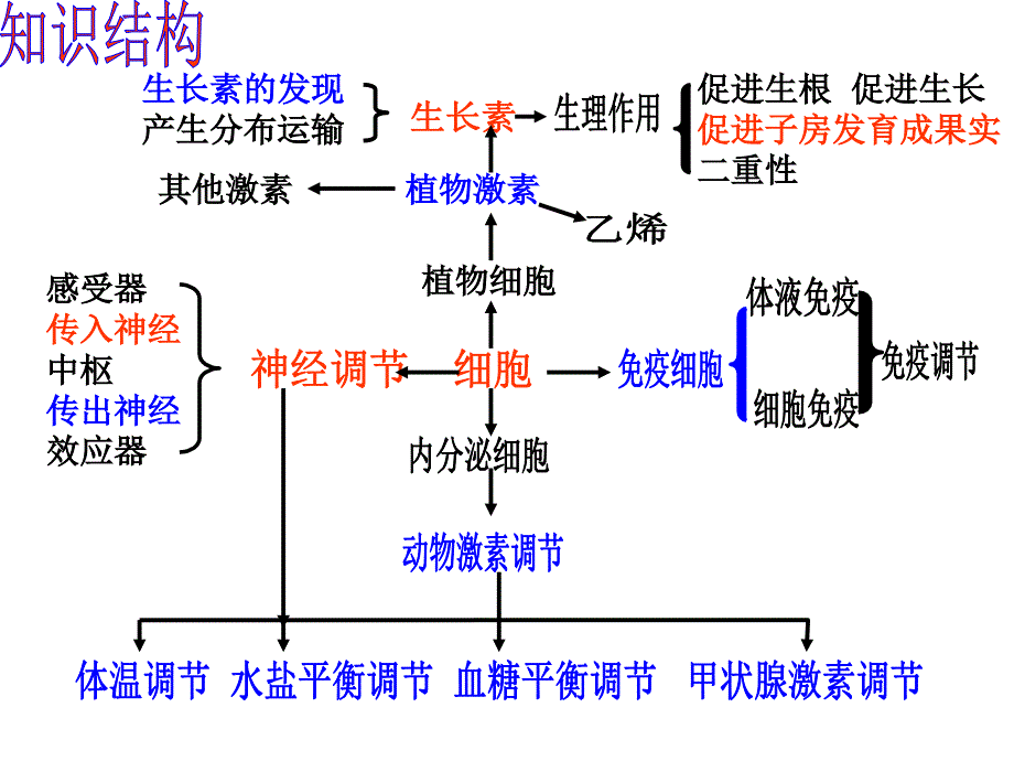 神经-体液-免疫调节(申版).ppt_第2页