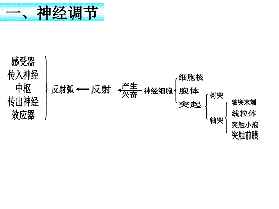 神经-体液-免疫调节(申版).ppt_第3页