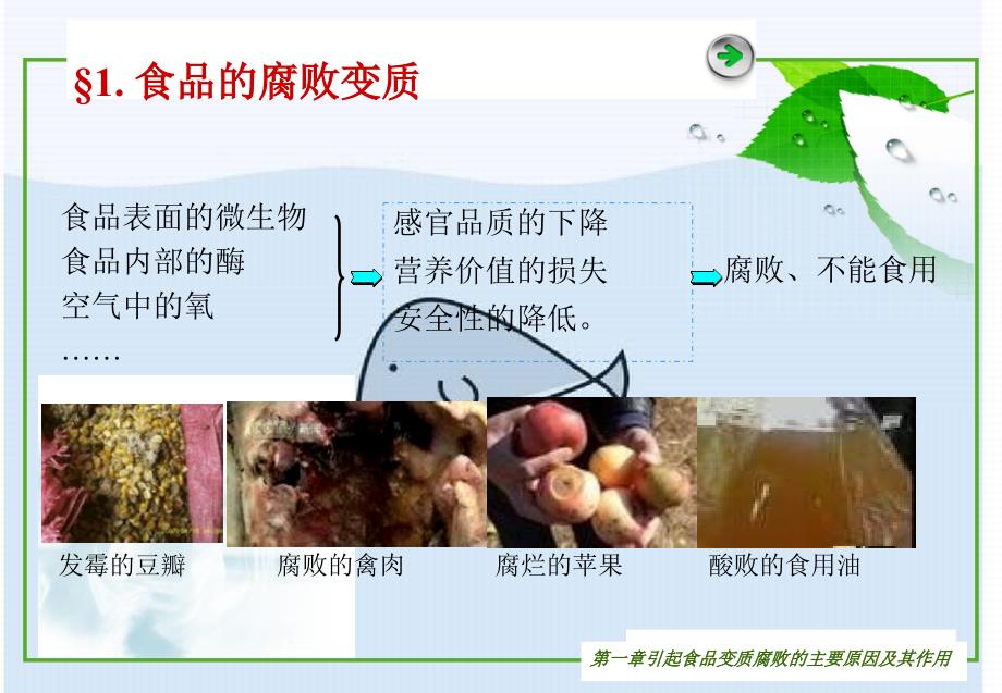 《引起食品变质腐败的主要因素及其作用》课件_第4页