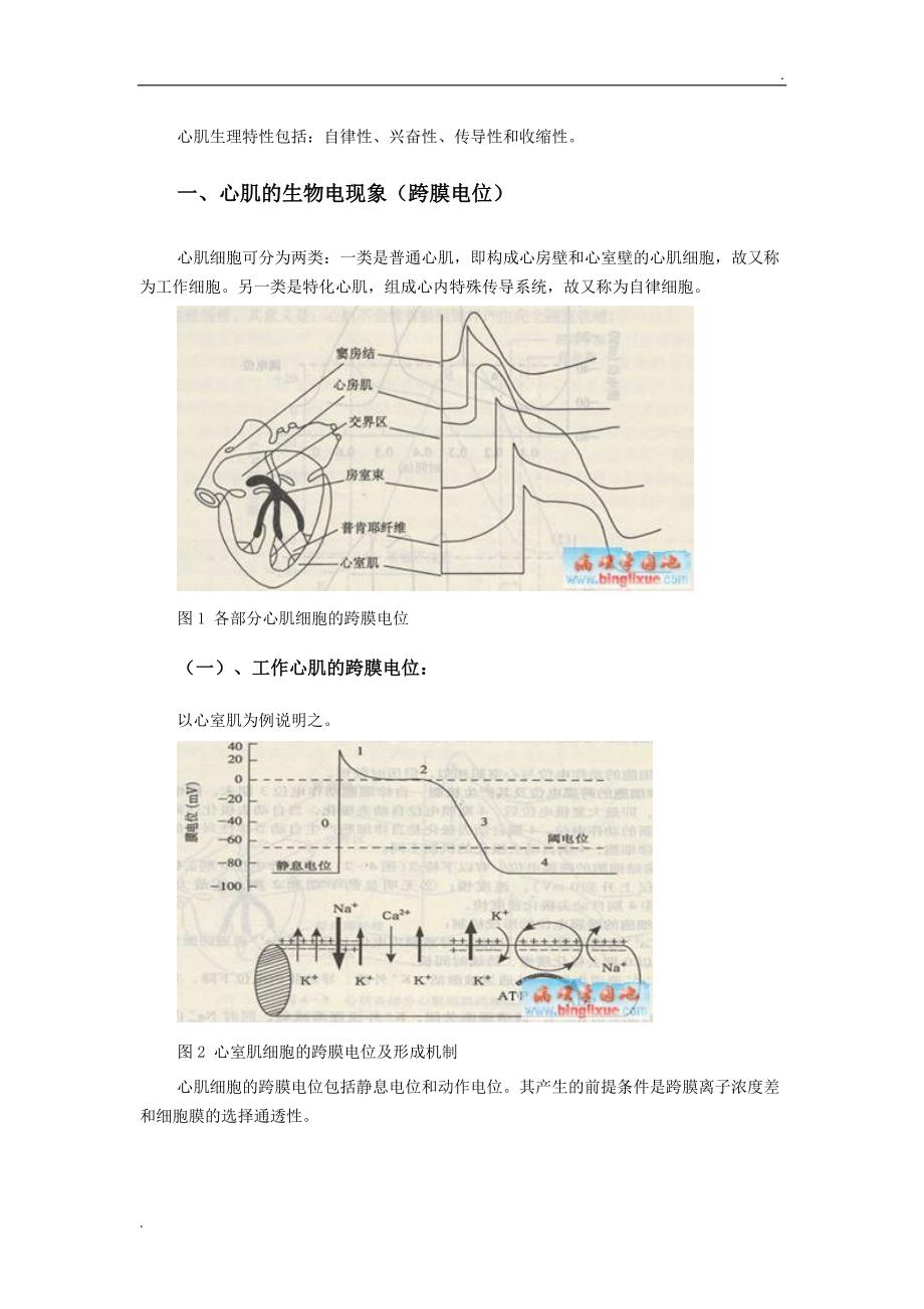 心肌生理特性包括_第1页