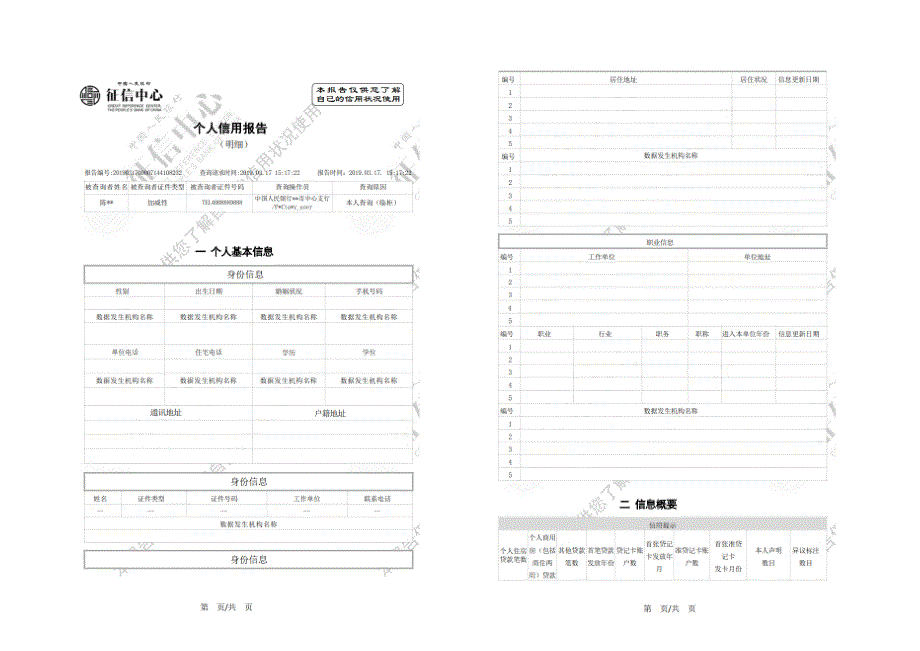 个人征信报告模板征信报告模板(2019带水印_第1页