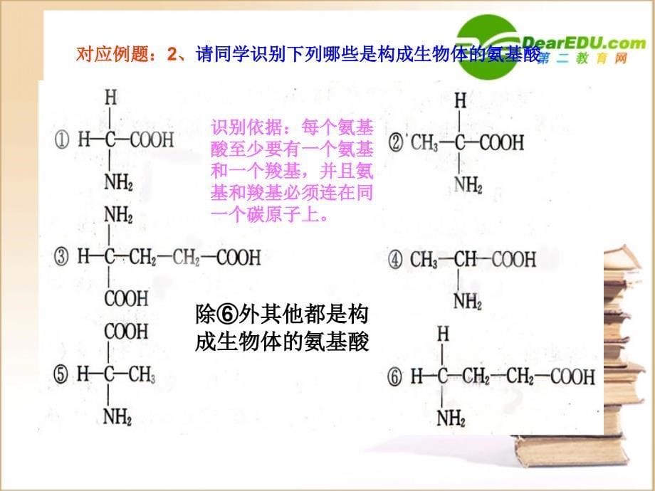 复习用：蛋白质、核酸的结构和功能.ppt_第5页