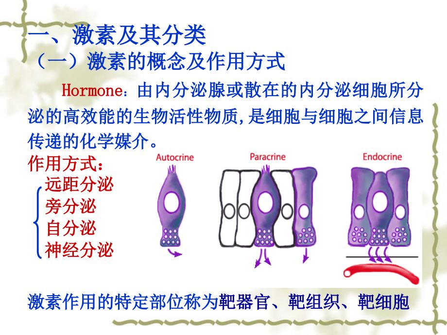 生理学11章内分泌ppt课件_第3页