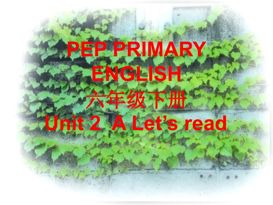 PEP小学六年级下册Unit 2A Let’s read精品课件_第1页