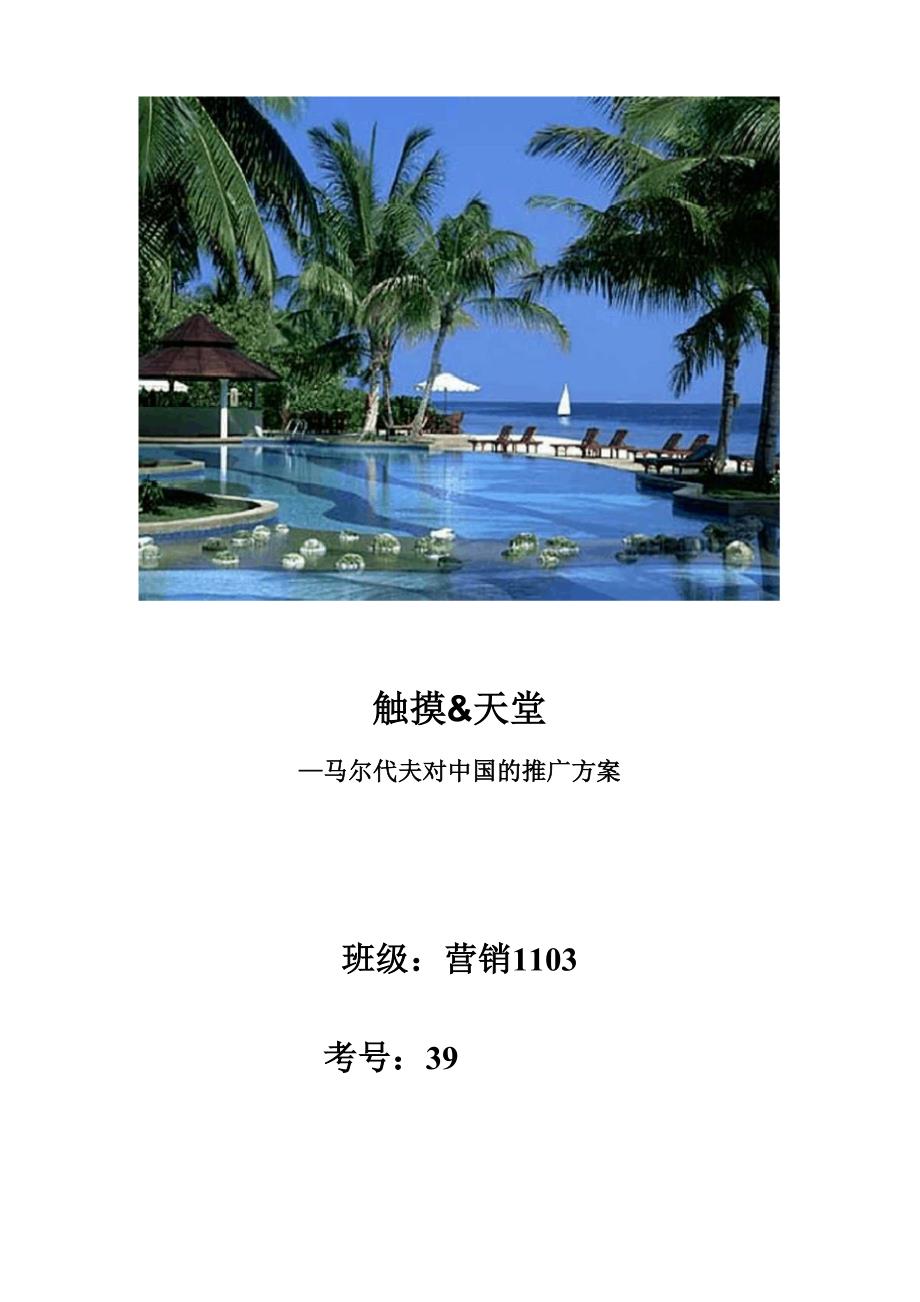 马尔代夫推广_第1页