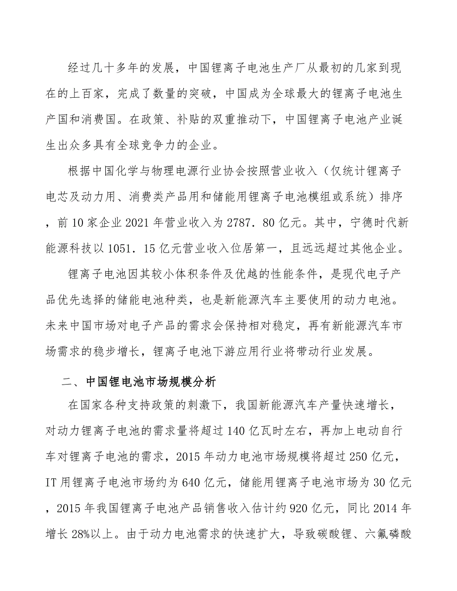 三元锂电池产业发展前景预测与投资战略规划_第2页