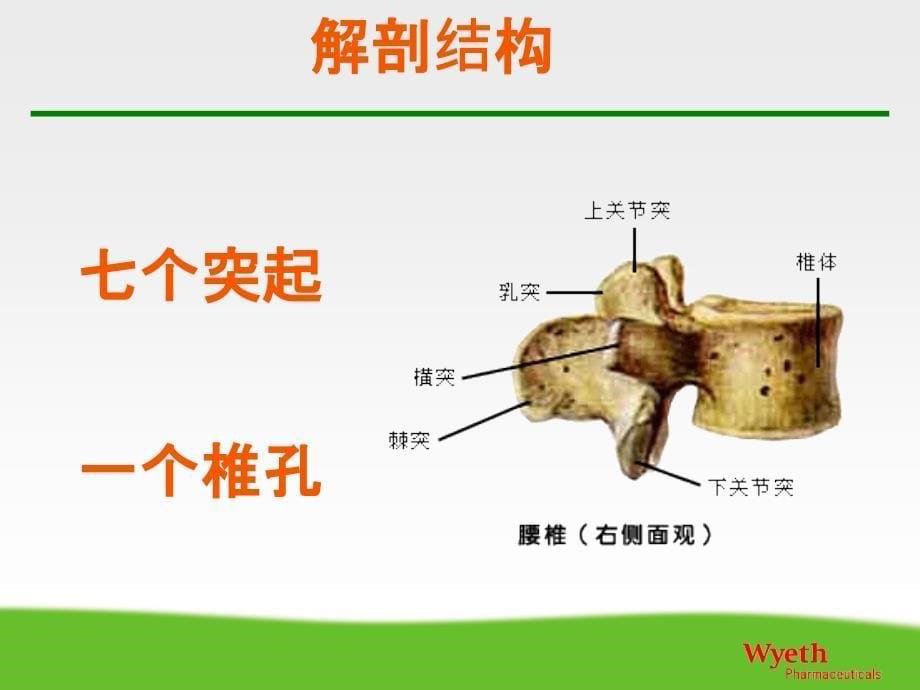 腰椎骨折护理查房83409_第5页