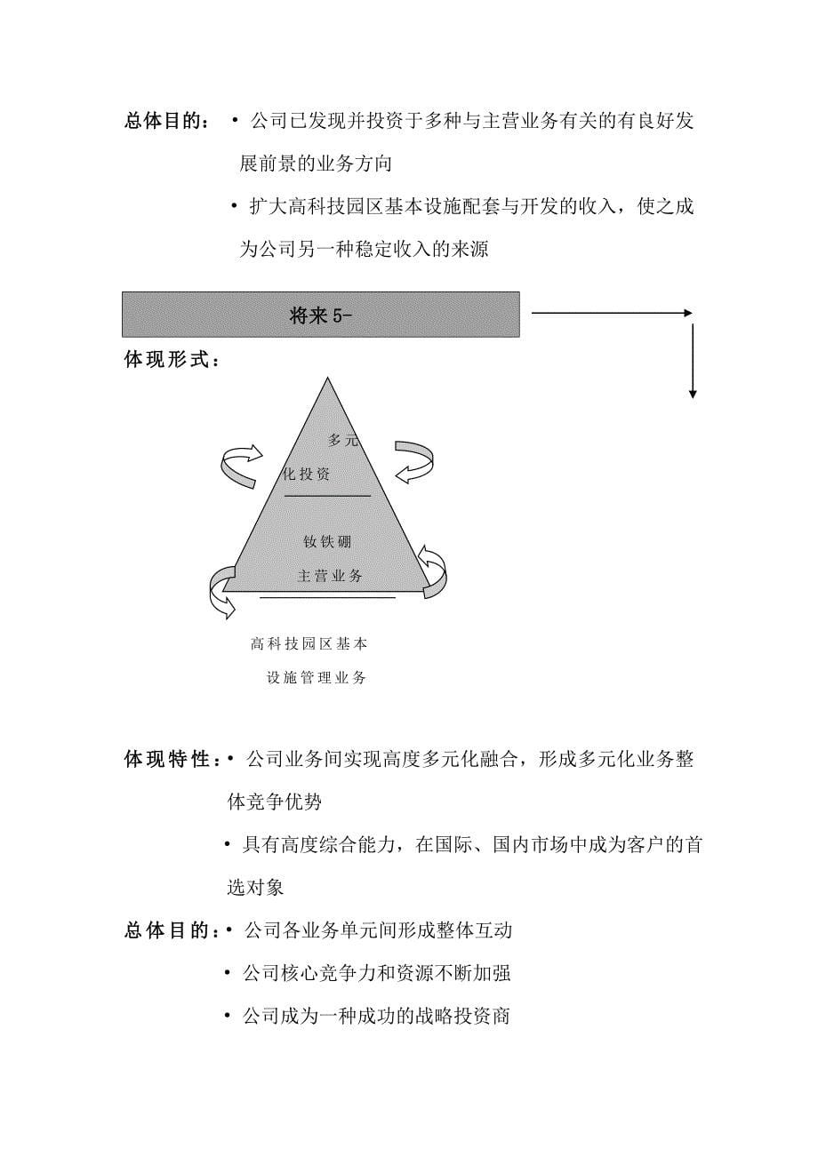 公司战略发展研究_第5页