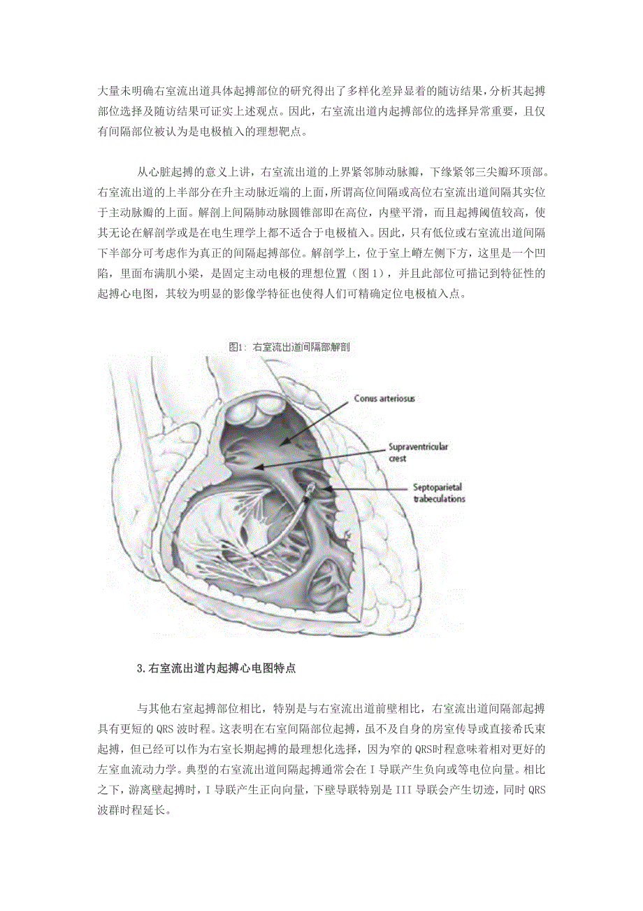 选择性部位起搏新进展.doc_第2页