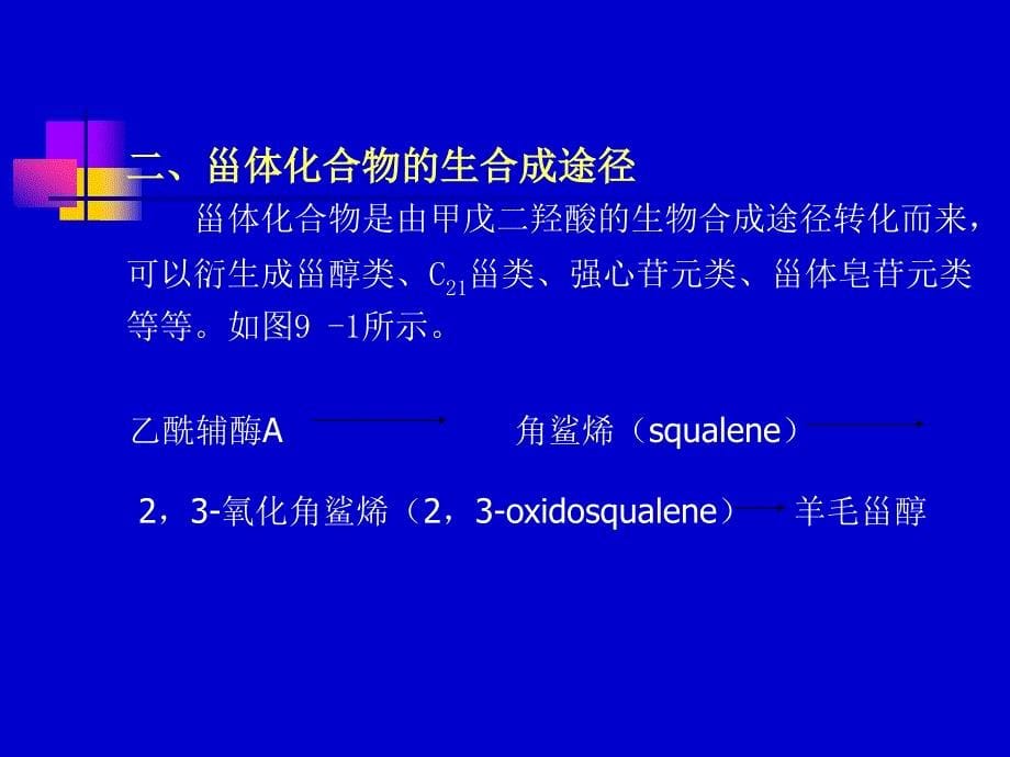 第九章甾体类化合物名师编辑PPT课件_第5页