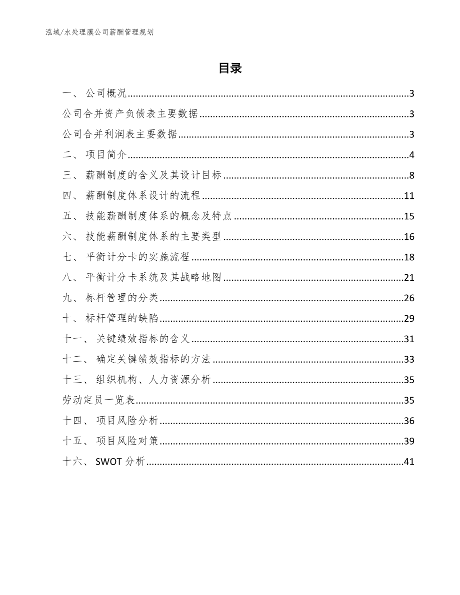 水处理膜公司薪酬管理规划_第2页