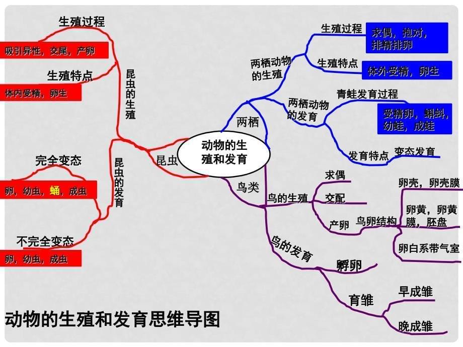 八年级生物下册 7.1.3 动物的生殖和发育复习课件 新人教版_第5页