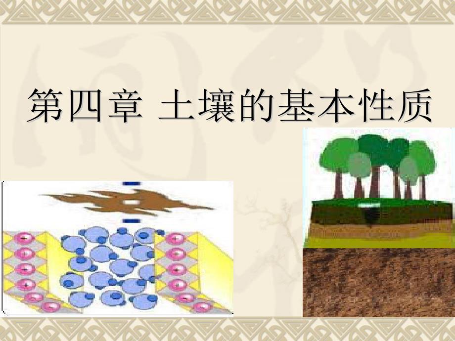 土壤的基本理化性质.ppt_第1页