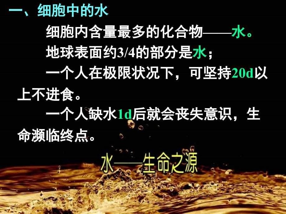 25细胞中的无机物hao_第5页