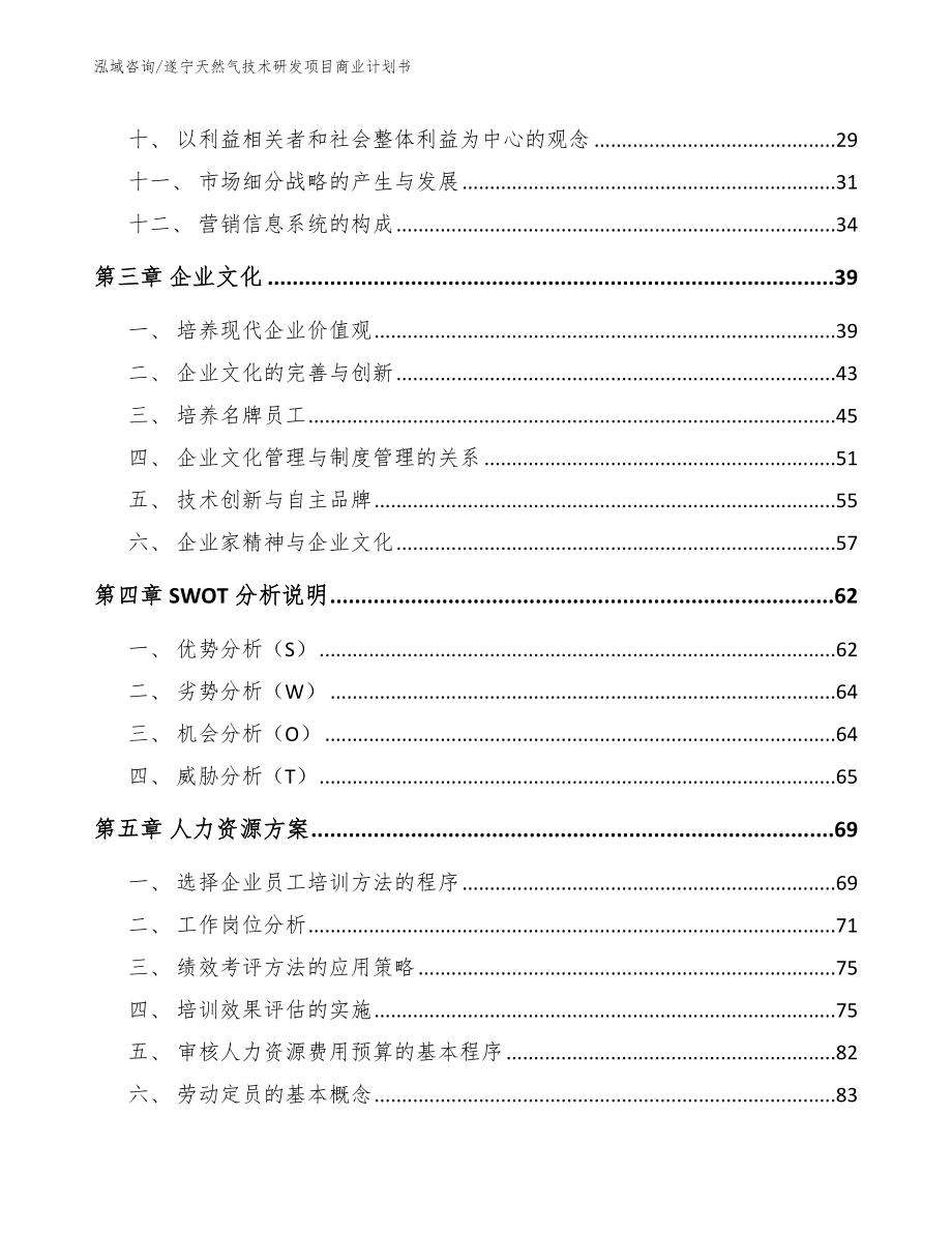 遂宁天然气技术研发项目商业计划书（模板范本）_第2页