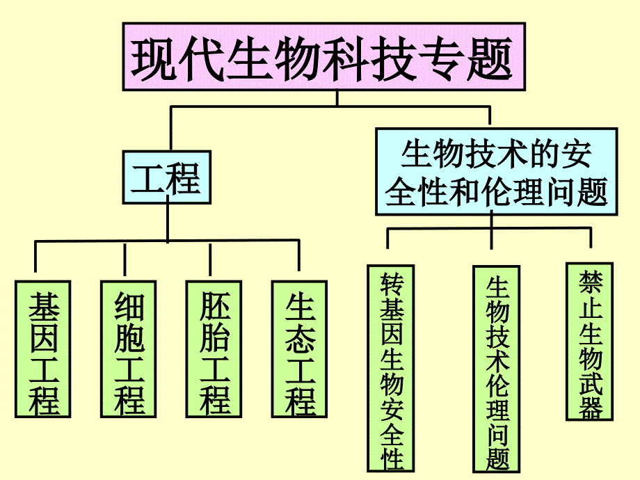 人教版生物选修3现代生物科技专题专题1基因工程11DNA技术的基本工具第1课时_第2页