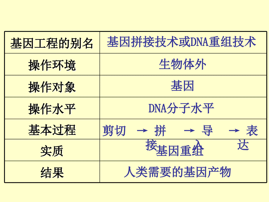 人教版生物选修3现代生物科技专题专题1基因工程11DNA技术的基本工具第1课时_第4页