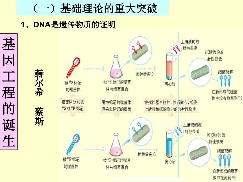 人教版生物选修3现代生物科技专题专题1基因工程11DNA技术的基本工具第1课时_第5页