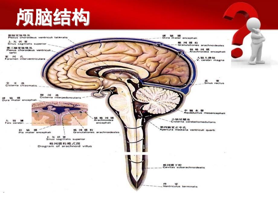 蛛网膜下腔出血的护理要点_第2页