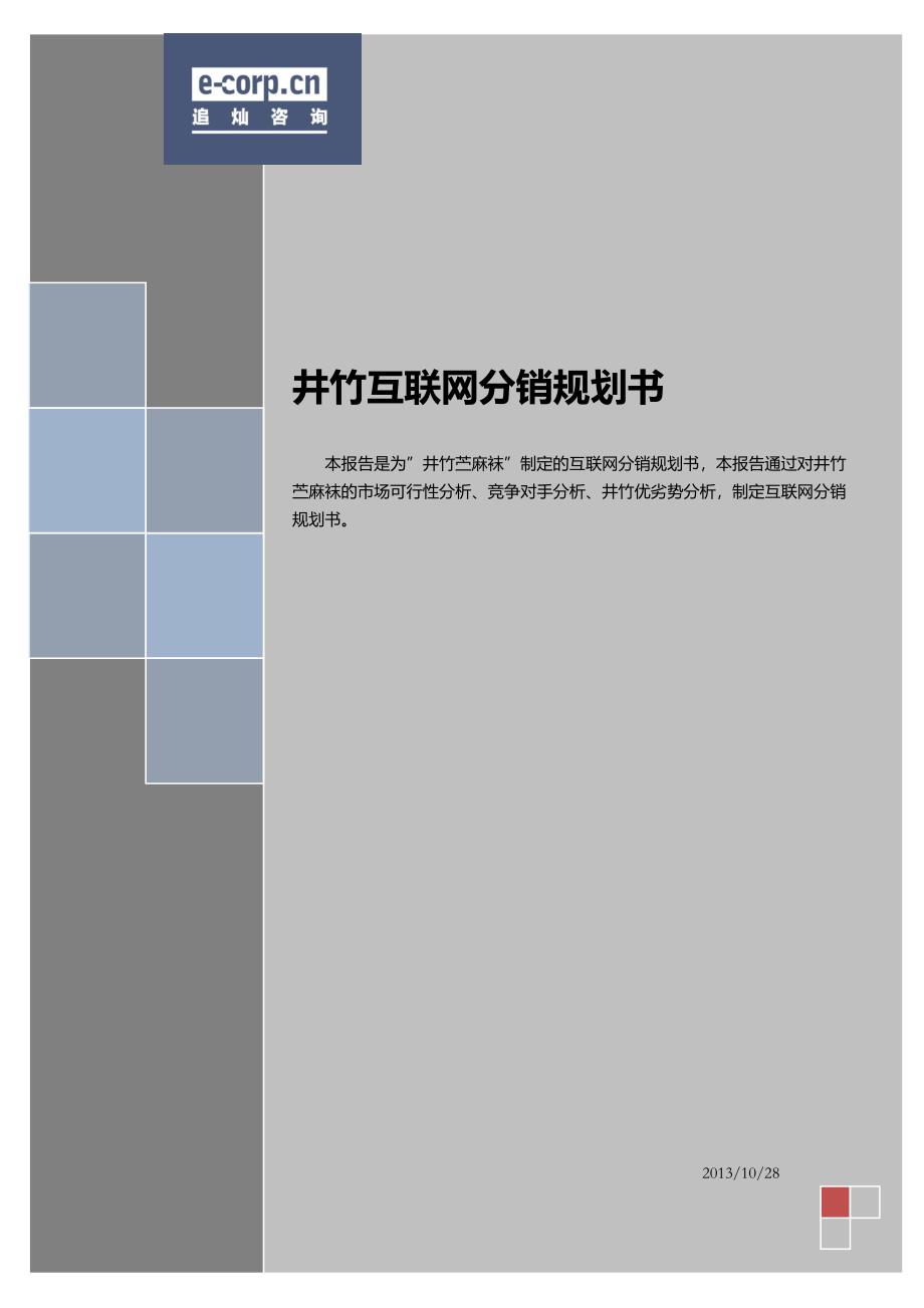 井竹互联网渠道规划书_第1页