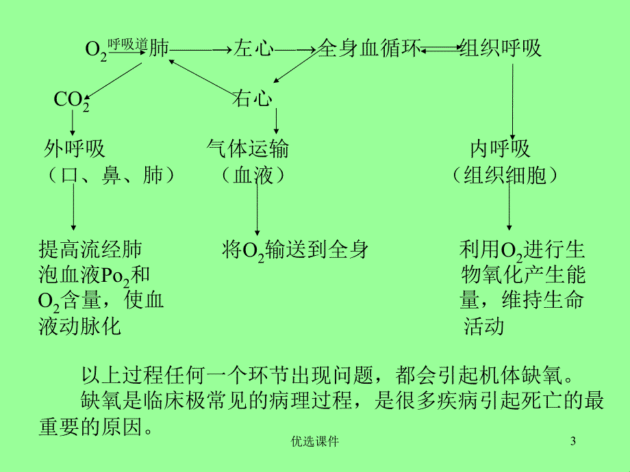 缺氧对机体的影响【管理材料】_第3页