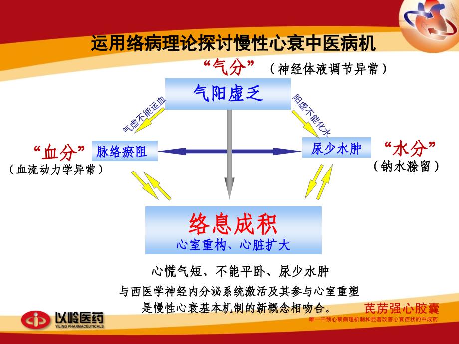 芪苈强心胶囊_第3页