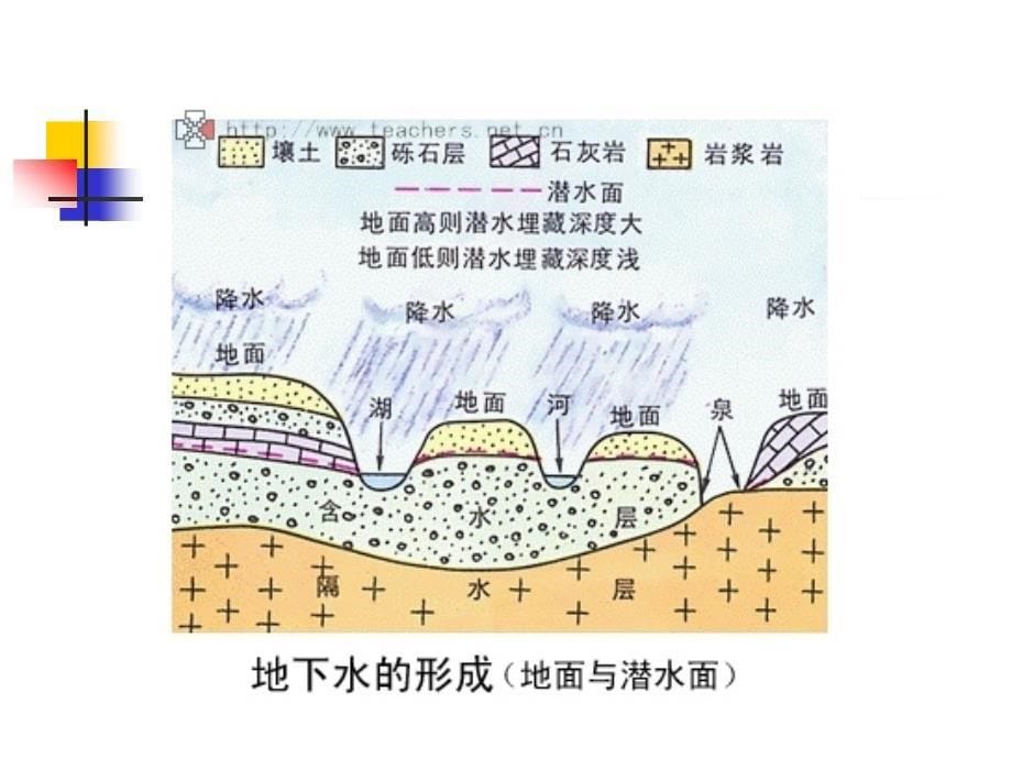 预防医学：11 水卫生营养_第5页