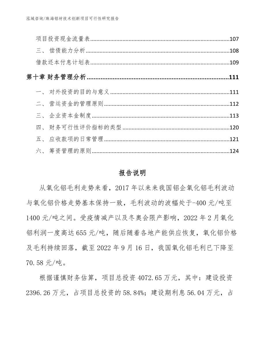 珠海铝材技术创新项目可行性研究报告（范文模板）_第5页