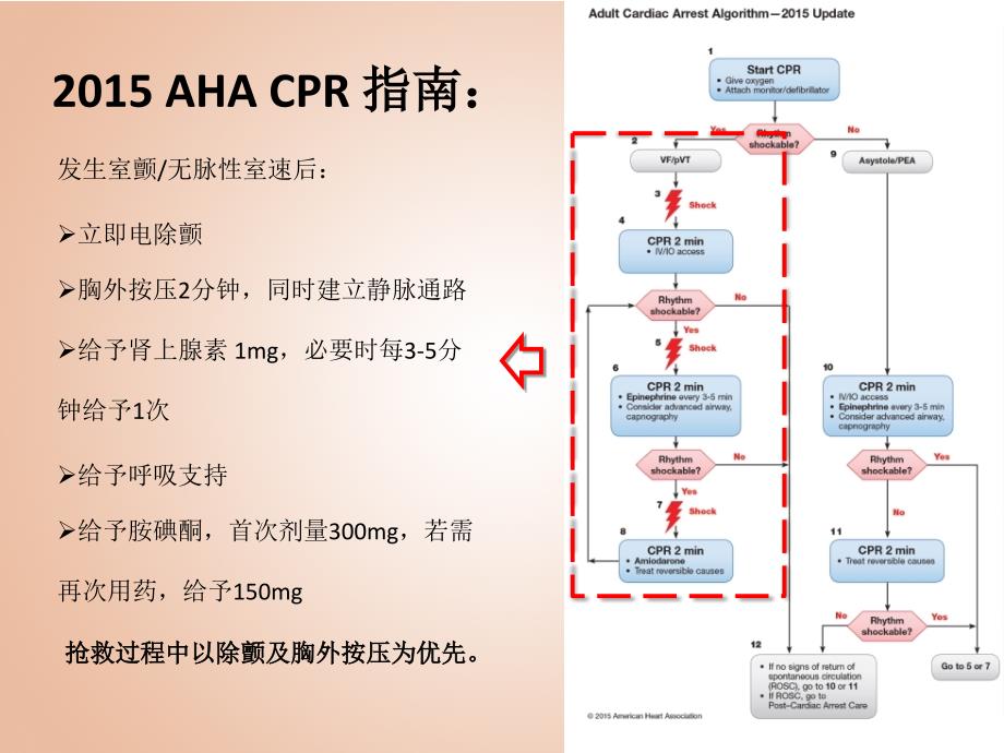 最新心肺复苏常用抢救用药PPT课件_第2页