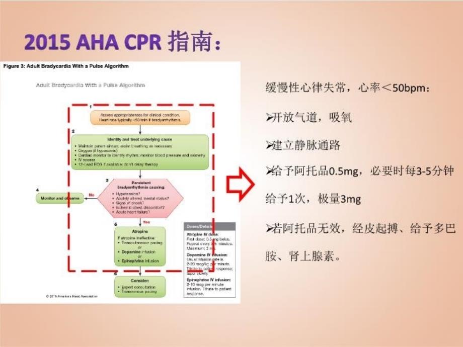 最新心肺复苏常用抢救用药PPT课件_第4页