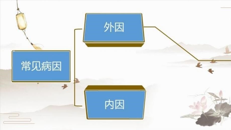 中医药文化进校园中医药健康伴我行学习资料_第5页