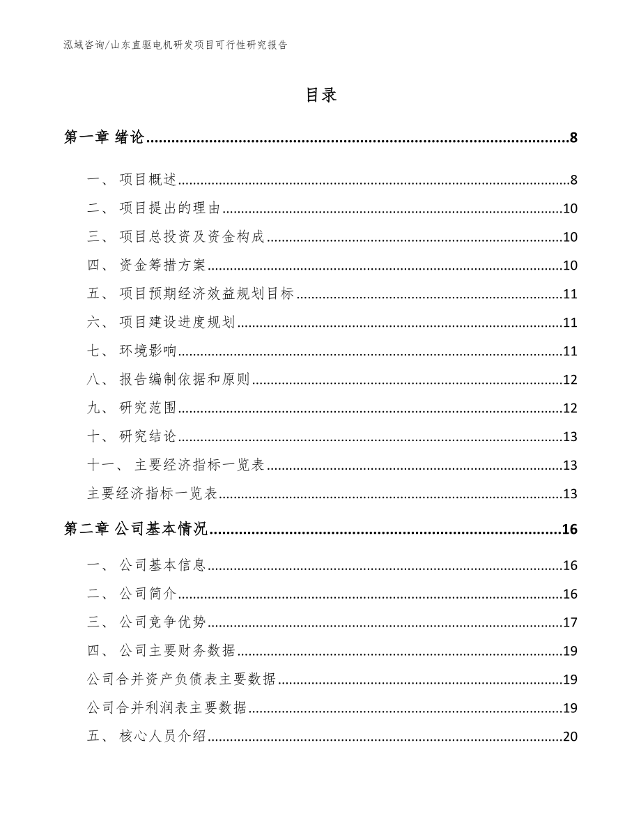 山东直驱电机研发项目可行性研究报告（参考范文）_第2页