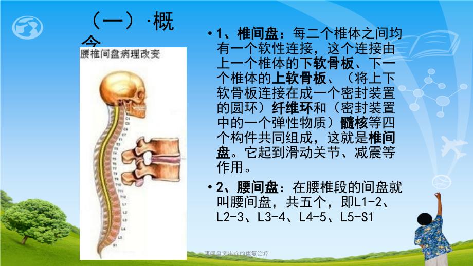 腰间盘突出症的康复治疗ppt课件_第3页