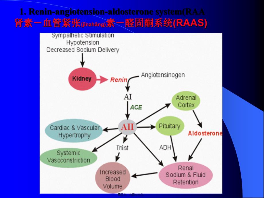 医学专题—心血管活动调节-中英文29721_第3页