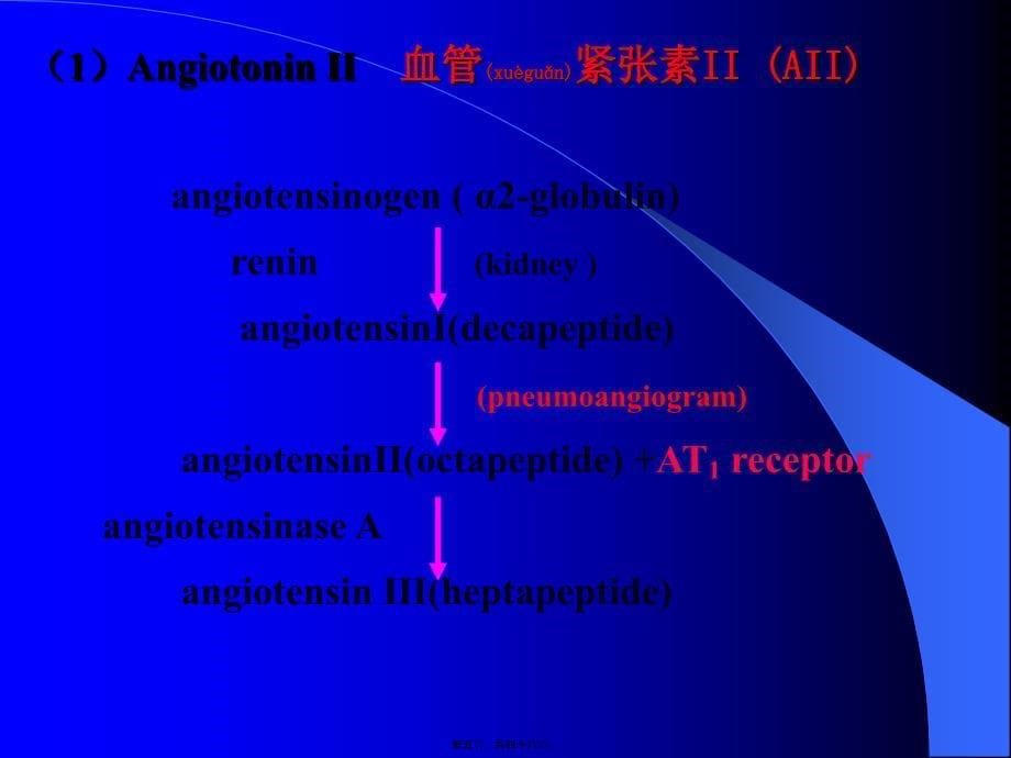 医学专题—心血管活动调节-中英文29721_第5页